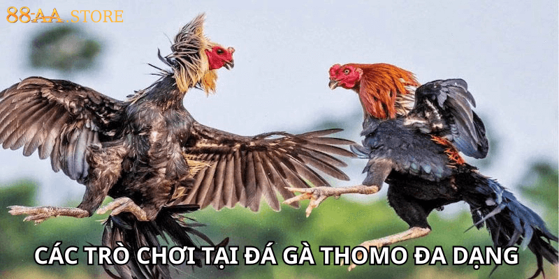 Các trò chơi tại đá gà Thomo đa dạng