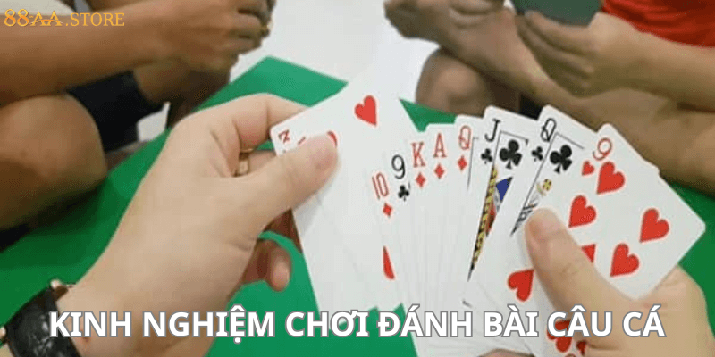 Kinh nghiệm chơi đánh bài câu cá